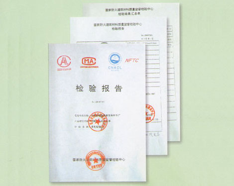 龍騰湘雅強(qiáng)化天花板檢驗(yàn)報(bào)告